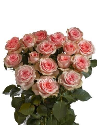 Rose rosa a steli, prima scelta, lunghezza 60 cm