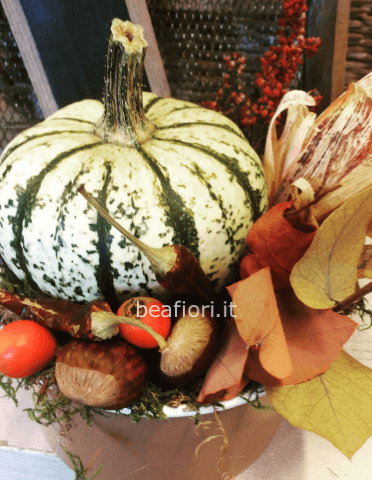 Autunno in composizione