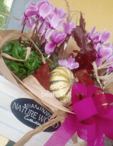 Cassetta in legno con ciclamini e decorazione autunnale