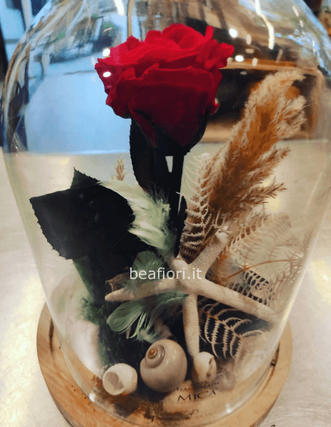 Rosa Incantata rossa misura grande in tema Marino