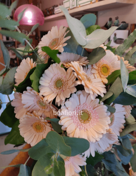 Bouquet di gerbere