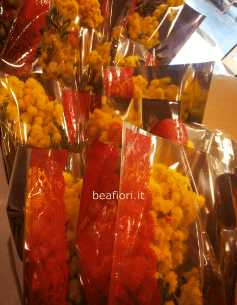 Sacchetti medi mimosa