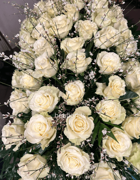 Copricassa rose bianche