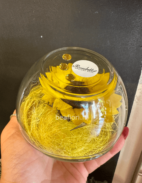 Girasole stabilizzato