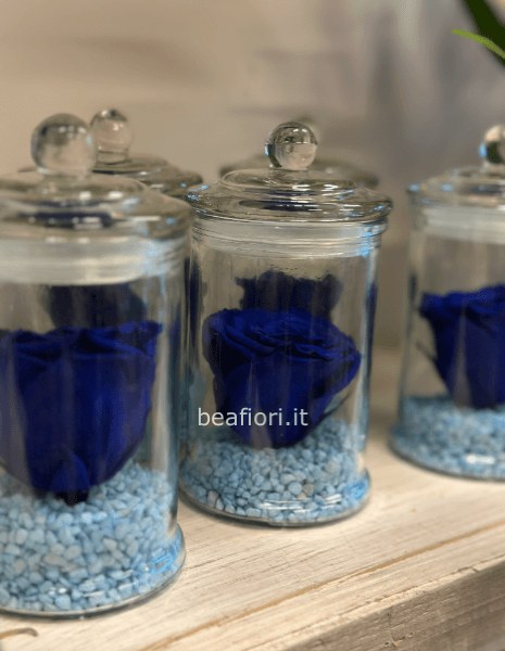 Stabilizzata blu