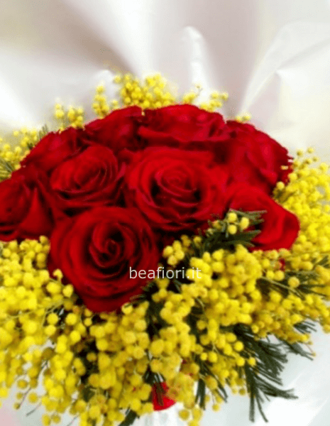 12 rose rosse gambo corto più mimosa 