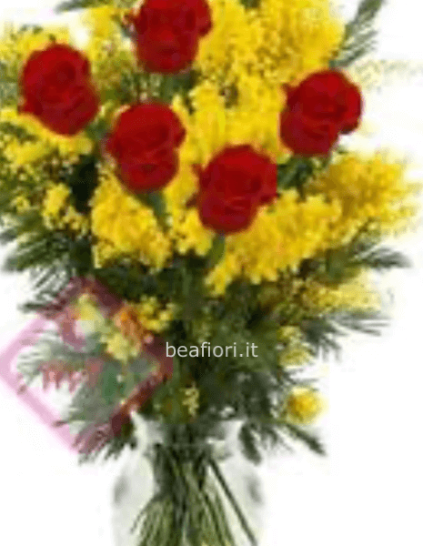5 rose rosse più mimosa 