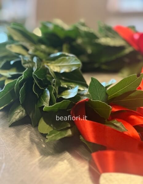 Corona di alloro per laurea 