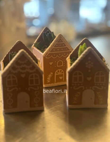 Bulbo di Giacinto nella casetta di pan di zenzero