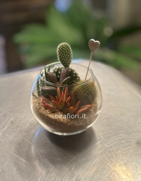 Giardinetto piante grasse in vetro 