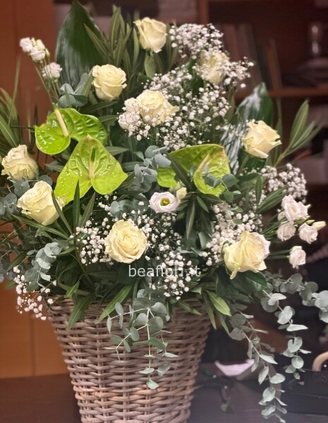 Fronte cassa bianco/verde 