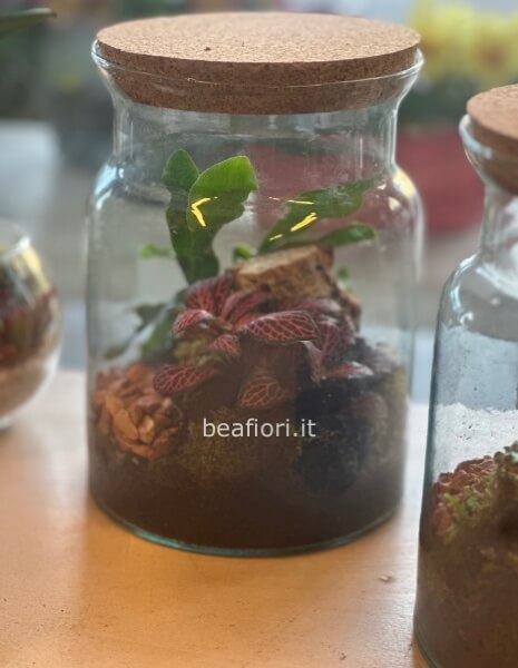 Terrarium