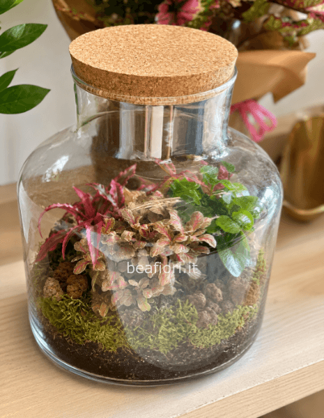 Terrarium