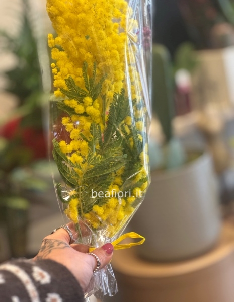Sacchetto mimosa 