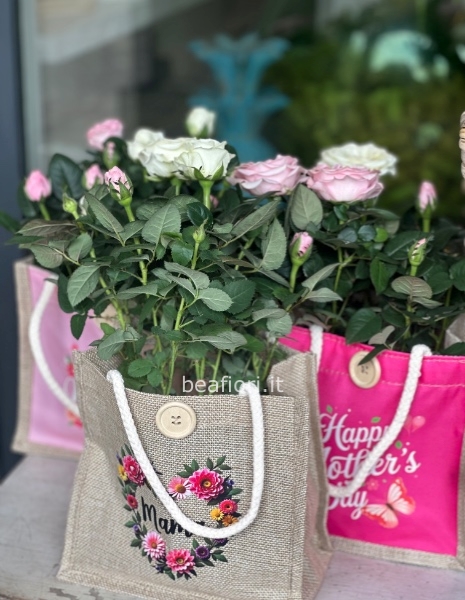 Bag mamma con pianta di rosa bicolore 